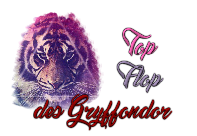 http://journal-gryffondor.poudlard12.com/public/Amy/GT_40/top_flop.png